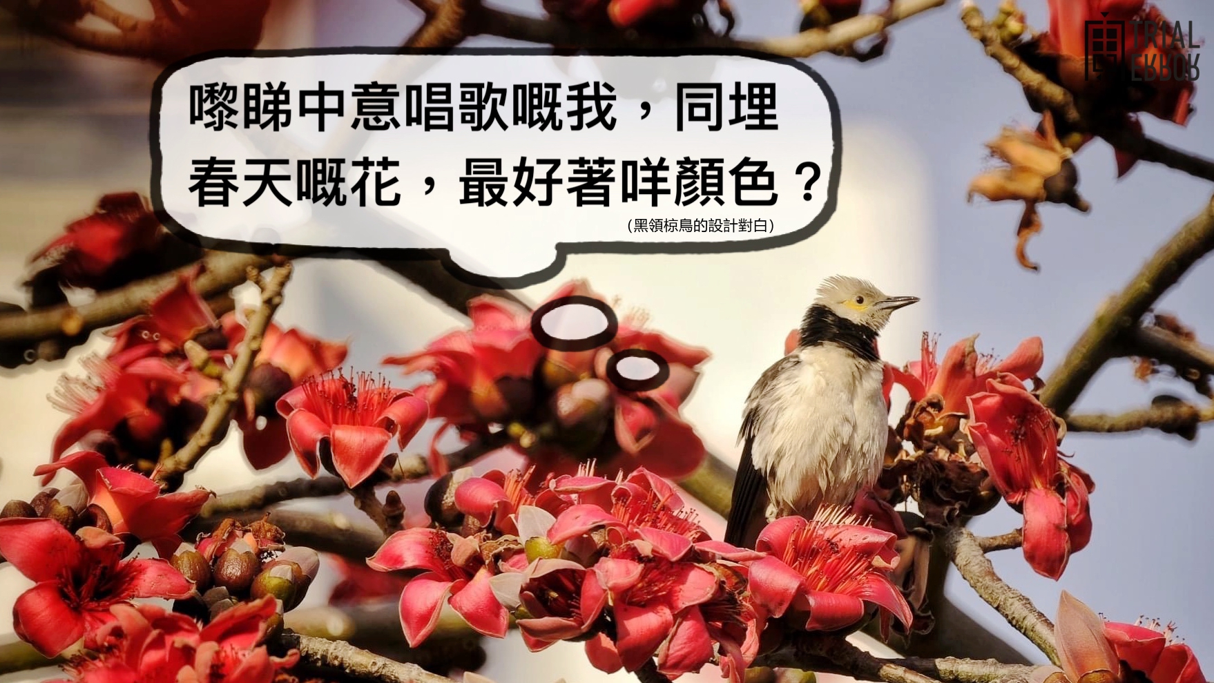 試驗日誌trial Journal Trial And Error Lab